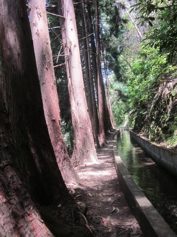O Meu Sonho Villa Calheta  Dış mekan fotoğraf